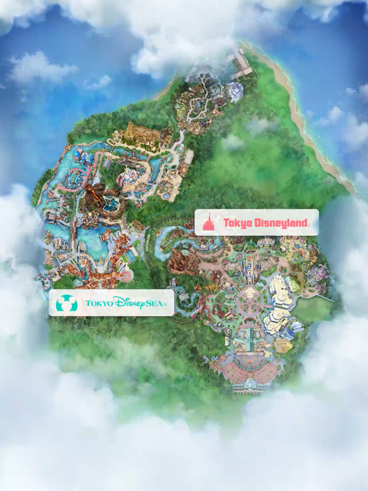 東京ディズニーリゾート公式サイトチケット購入手順6